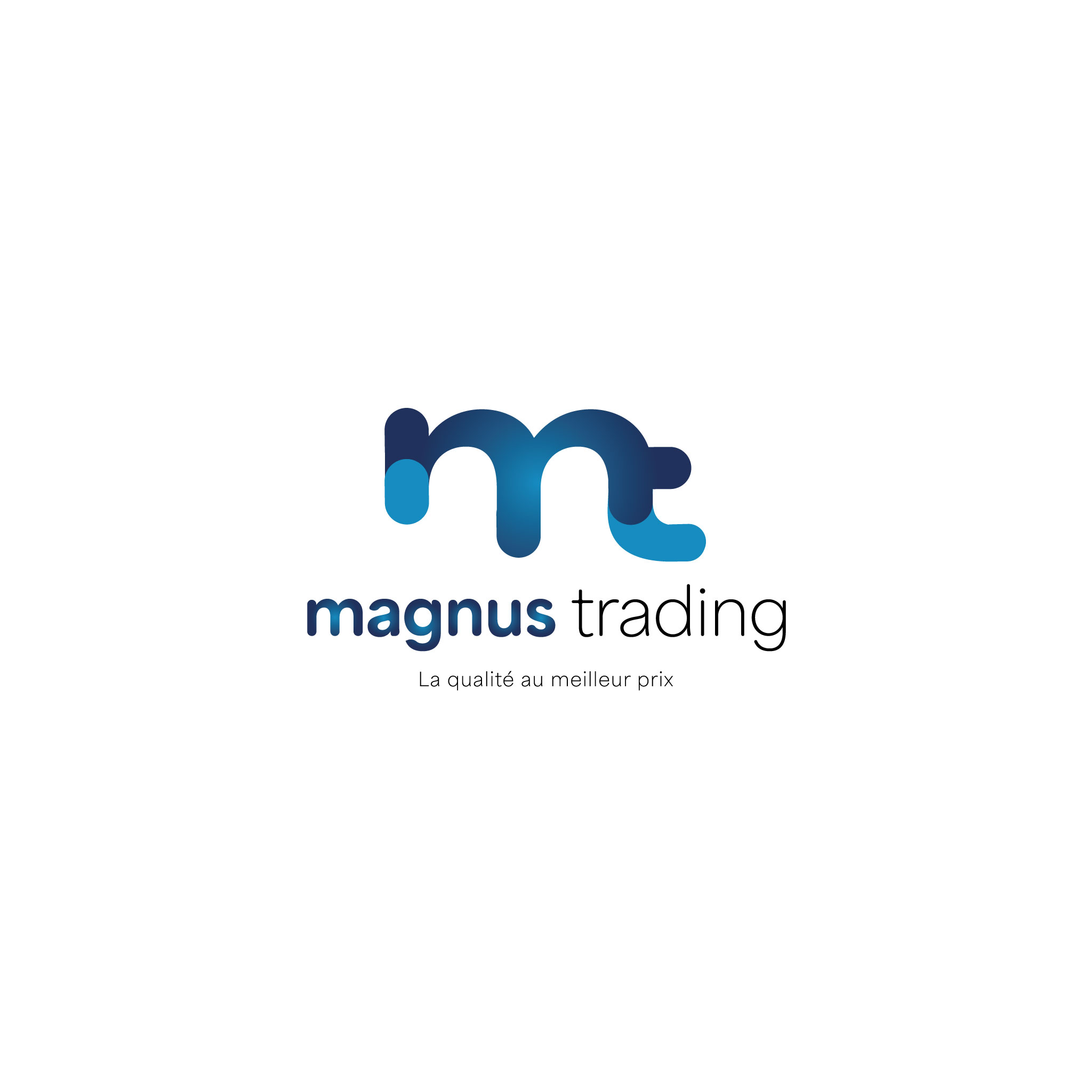 Identité visuelle – Magnus Trading